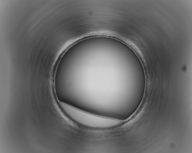 X0000091460989200708161103