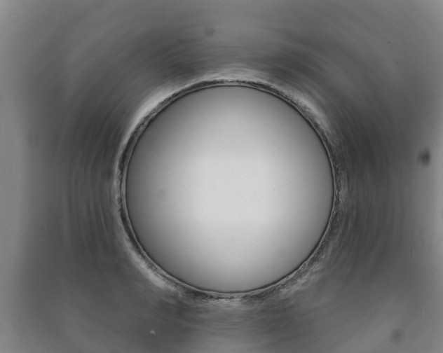 X0000091460990200708161103