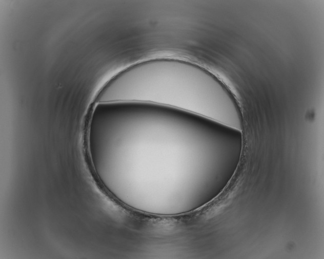 X0000091460991200708161103