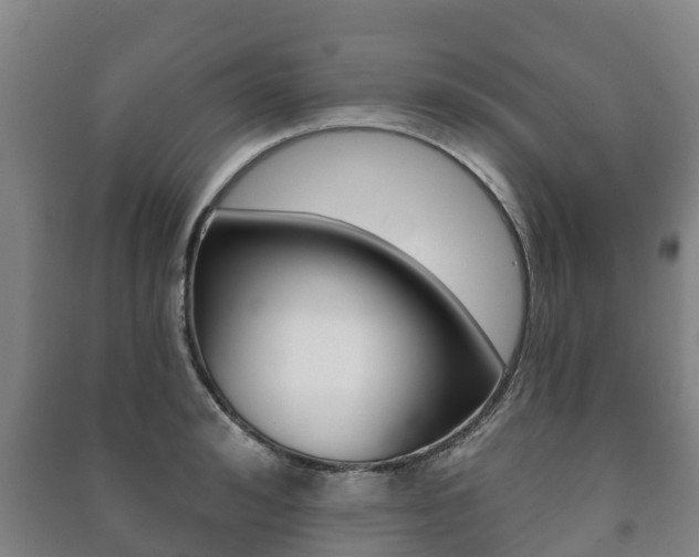 X0000091460992200708161103