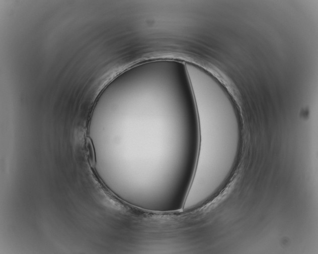 X0000091460993200708161103