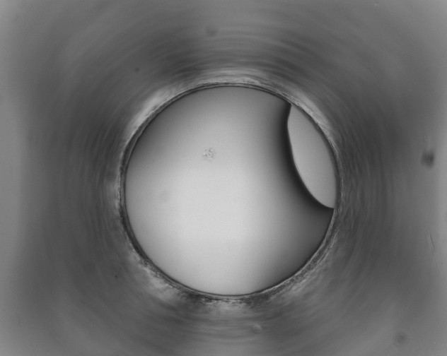 X0000091460994200708161103