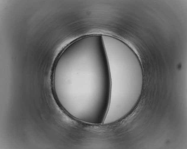 X0000091460995200708161103