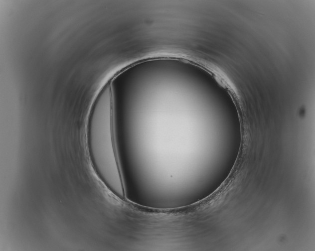 X0000091460996200708161103