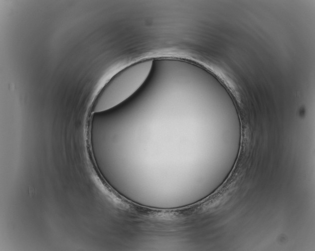 X0000091460998200708161103