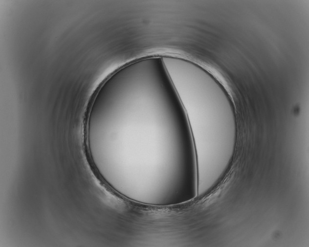 X0000091460999200708161103
