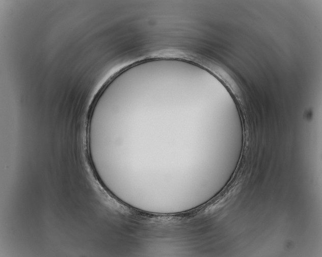 X0000091461000200708161103