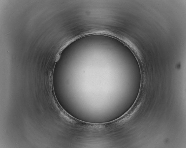 X0000091461001200708161103