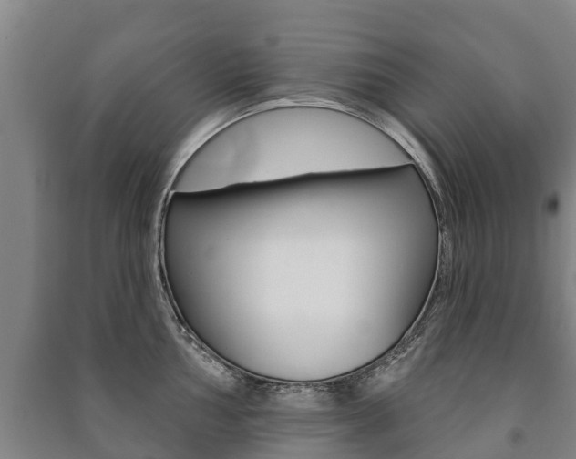 X0000091461002200708161103