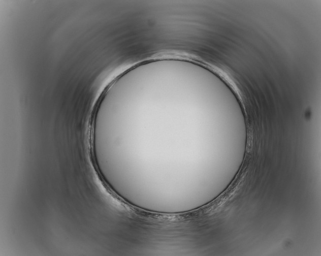 X0000091461003200708161103