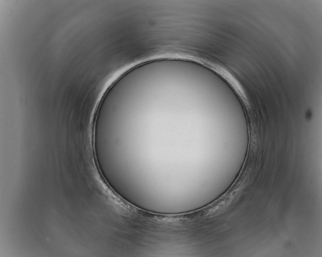 X0000091461004200708161103