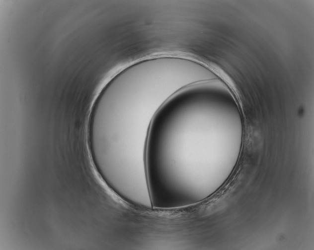 X0000091461005200708161103