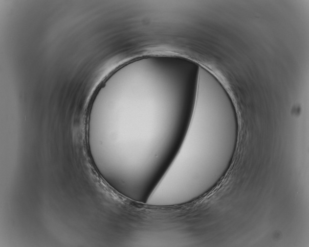 X0000091461008200708161103