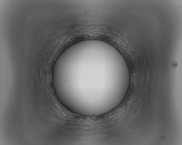 X0000091461009200708161103