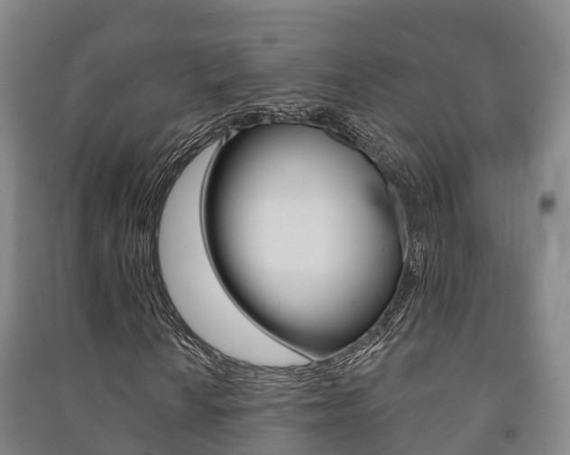 X0000091461010200708161103
