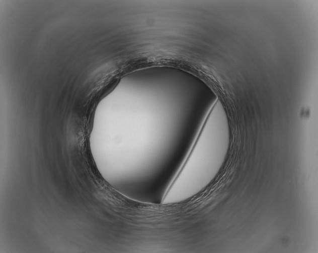 X0000091461012200708161103