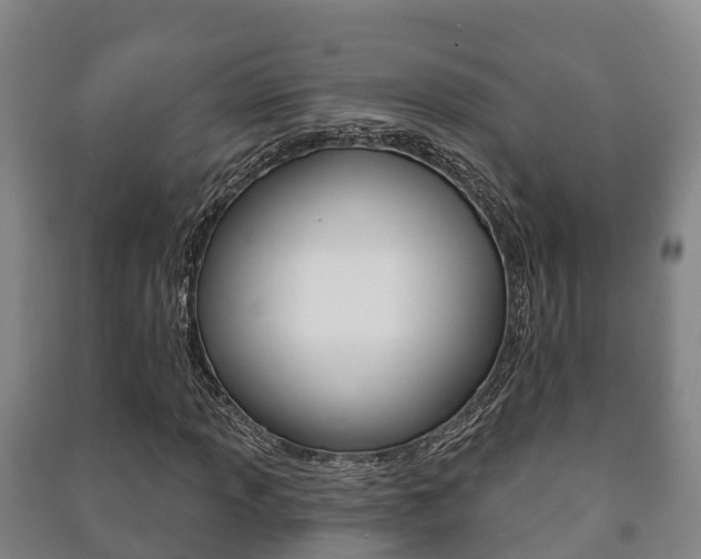 X0000091461013200708161103