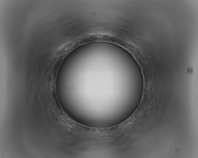 X0000091461014200708161103