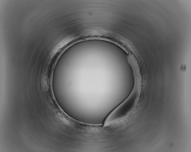 X0000091461018200708161103