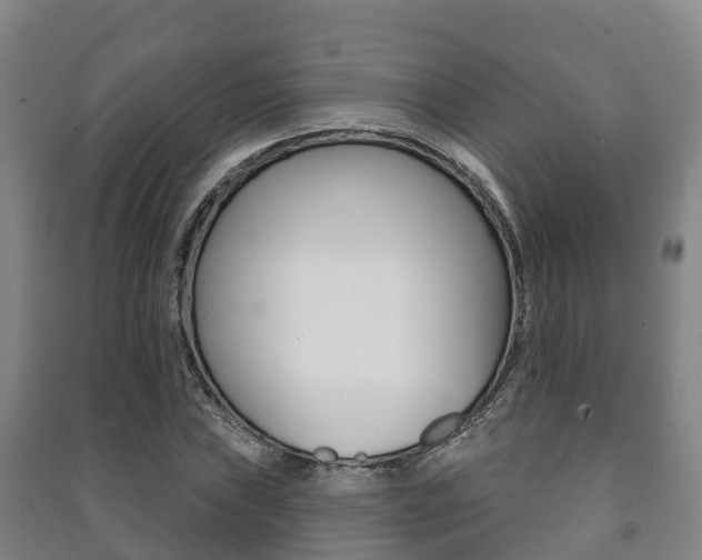 X0000091461019200708161103