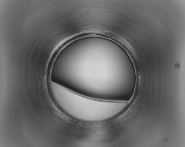 X0000091461020200708161103