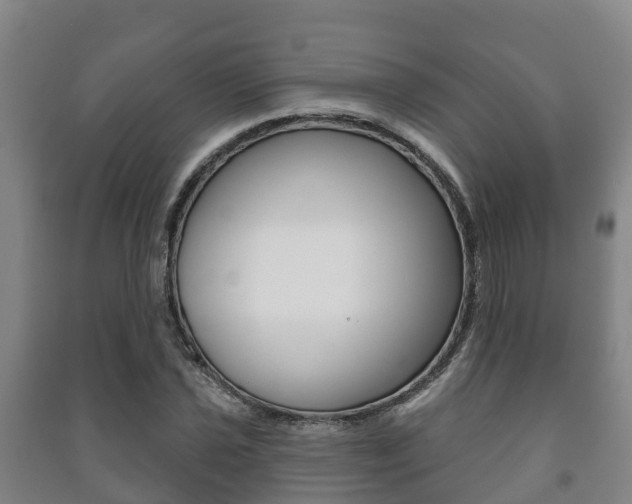 X0000091461021200708161103