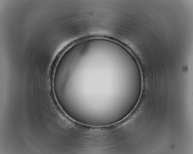 X0000091461022200708161103