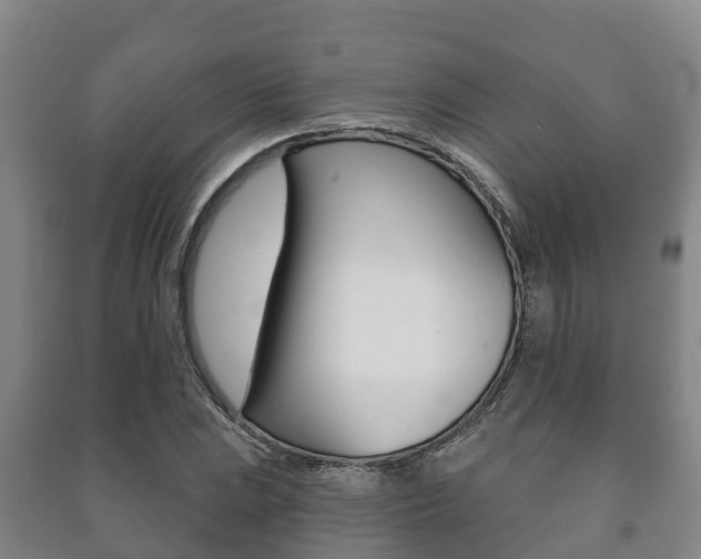 X0000091461023200708161103
