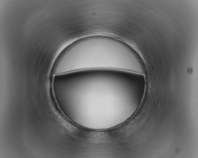 X0000091461024200708161103