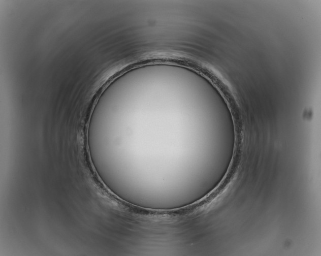 X0000091461025200708161103