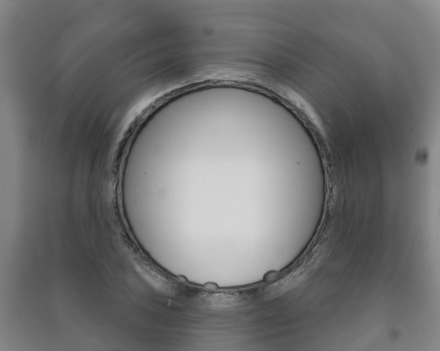 X0000091461027200708161103