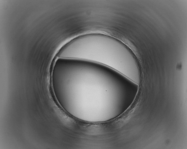 X0000091461028200708161103