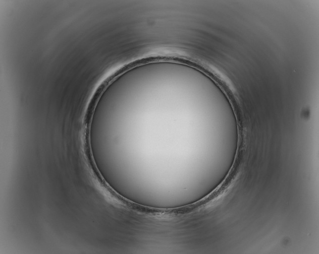 X0000091461029200708161103