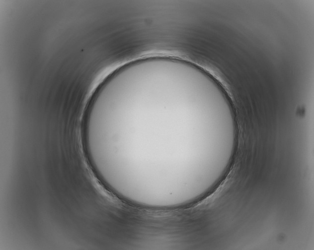 X0000091461030200708161103