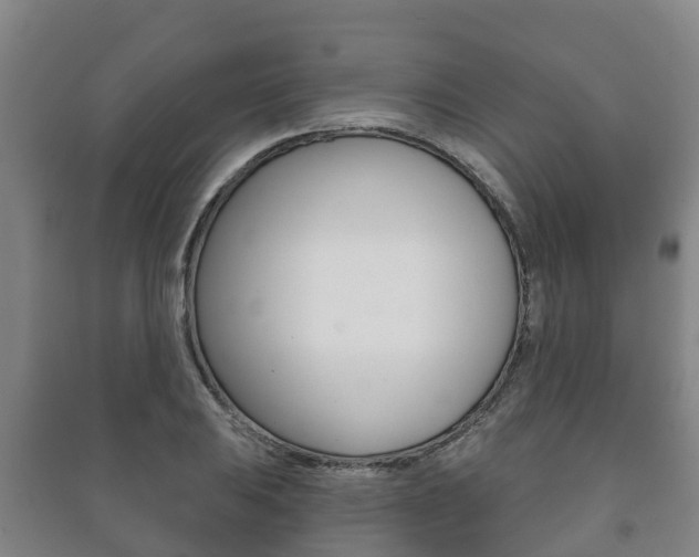 X0000091461031200708161103
