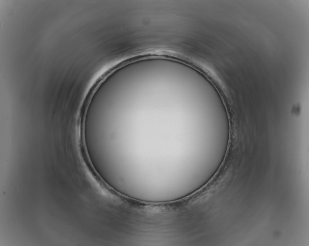 X0000091461032200708161103