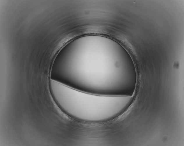 X0000091461033200708161103