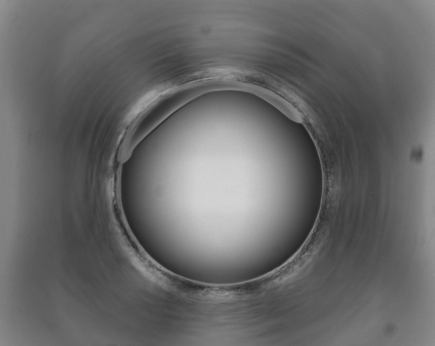 X0000091461034200708161103