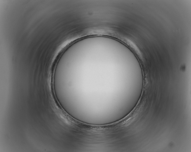 X0000091461035200708161103