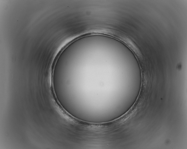 X0000091461036200708161103