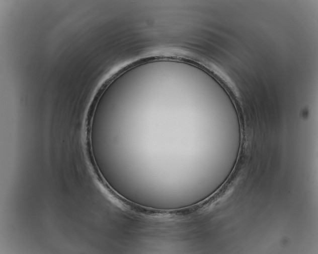 X0000091461037200708161103