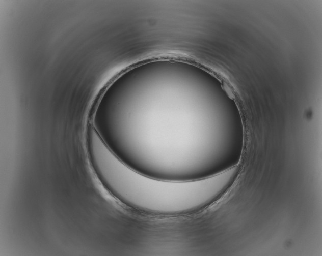 X0000091461038200708161103