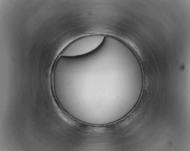 X0000091461039200708161103