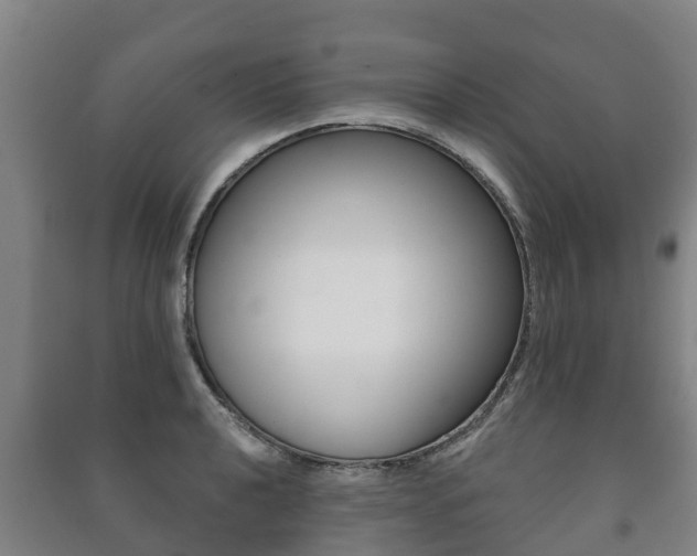 X0000091461040200708161103