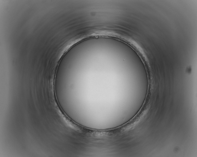 X0000091461041200708161103