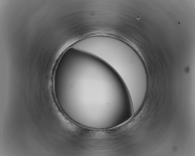 X0000091461042200708161103
