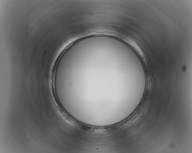 X0000091461043200708161103