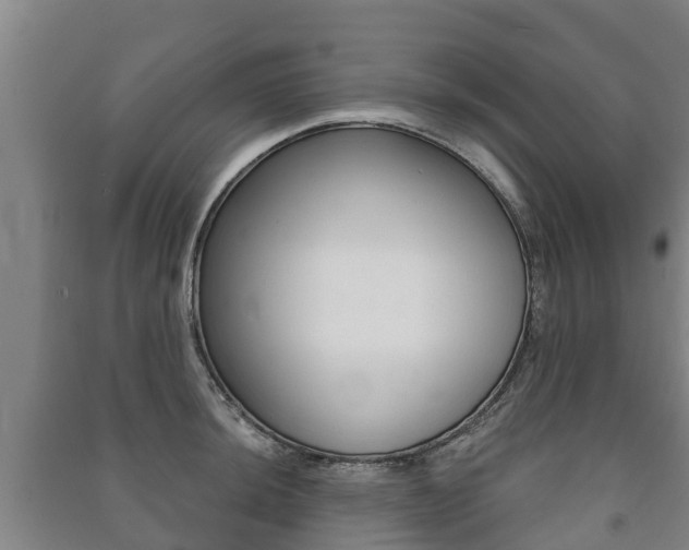 X0000091461044200708161103