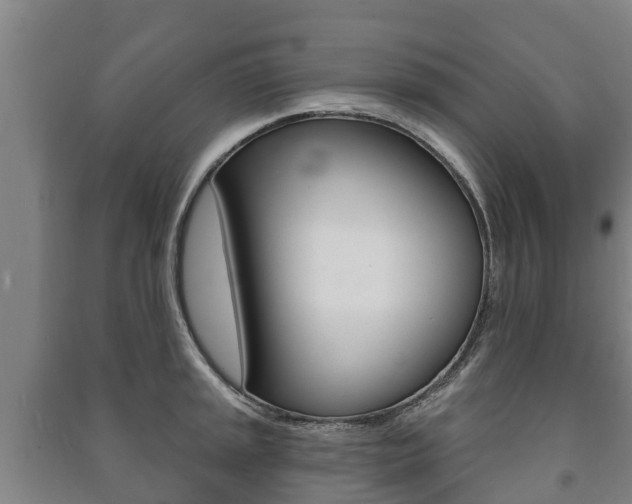 X0000091461045200708161103