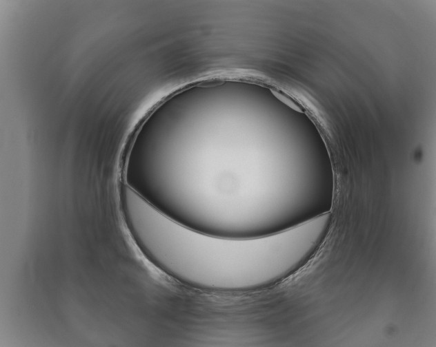 X0000091461046200708161103